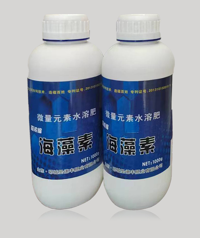 海藻素[超浓缩](1000g)